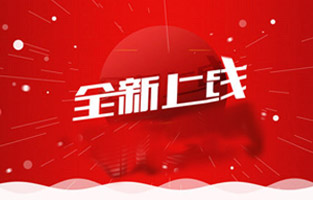 熱烈祝賀雷爾沃電器有限公司網(wǎng)站正式上線！歡迎新老客戶登錄雷爾沃電器站點http://www.leirvo.com/查看，我們將時時為你推出高壓電器產(chǎn)品相關(guān)資訊，也希望你們多提寶貴意見，讓我們共同進(jìn)步，邁向新未來！ 