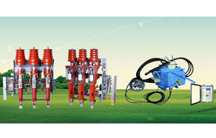 關(guān)于高壓負(fù)荷開(kāi)關(guān)前面雷爾沃電器已經(jīng)為大家整理了不少知識(shí)，不知道你對(duì)柱上負(fù)荷開(kāi)關(guān)有了解沒(méi)？如今在市場(chǎng)上比較常見(jiàn)的柱上負(fù)荷開(kāi)關(guān)主要是壓氣式負(fù)荷開(kāi)關(guān)以及真空負(fù)荷開(kāi)關(guān)，我們分別來(lái)為大家做一個(gè)比較簡(jiǎn)單的講解。